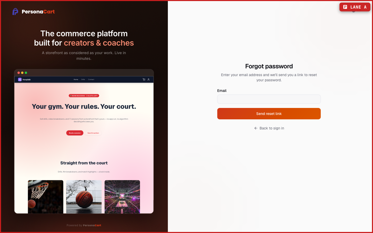 The reset password page asking for your account email