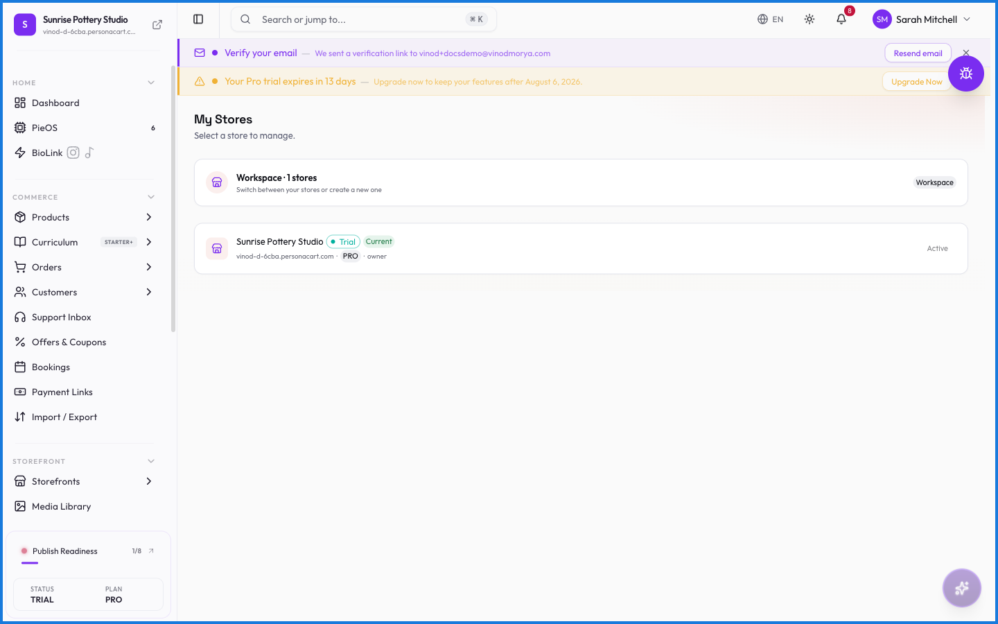 The My Stores workspace screen listing each store with its live status, domain, plan, and your role, plus an option to create a new store