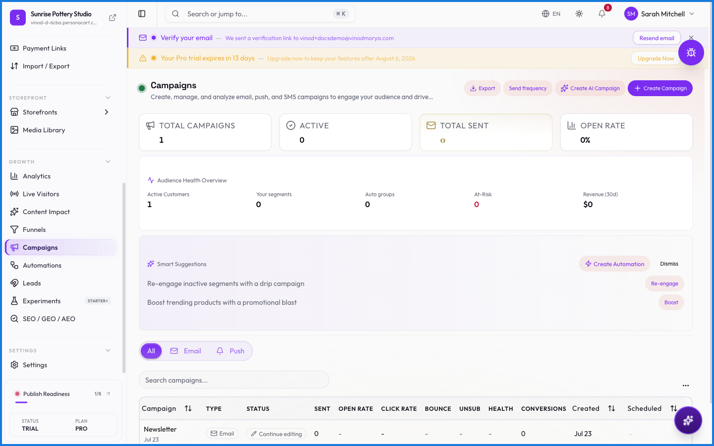 The Campaigns page listing marketing campaigns with their status and audience