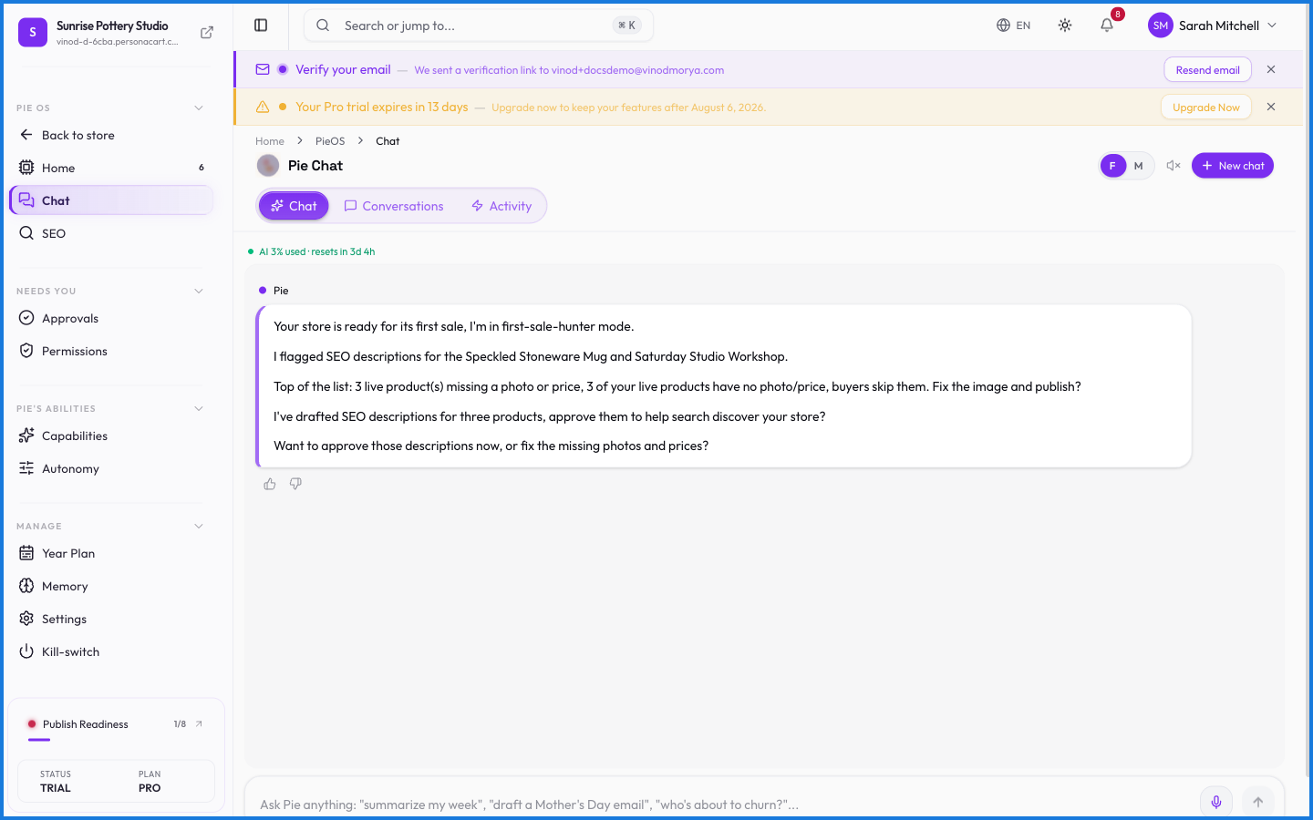 The PieOS chat interface with a conversation where the AI answers a question about the store