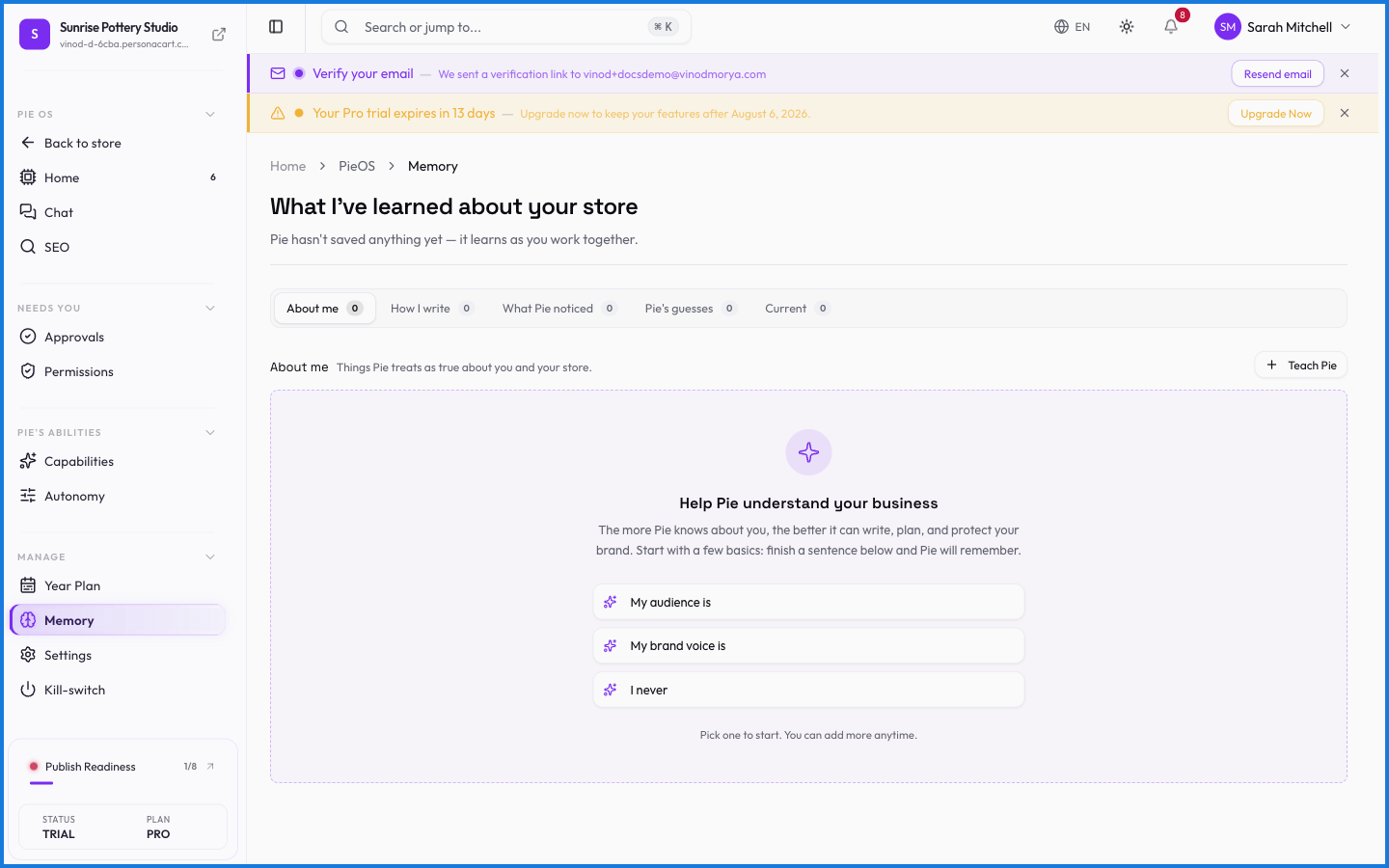 The PieOS Memory page showing what the AI remembers about the store and preferences