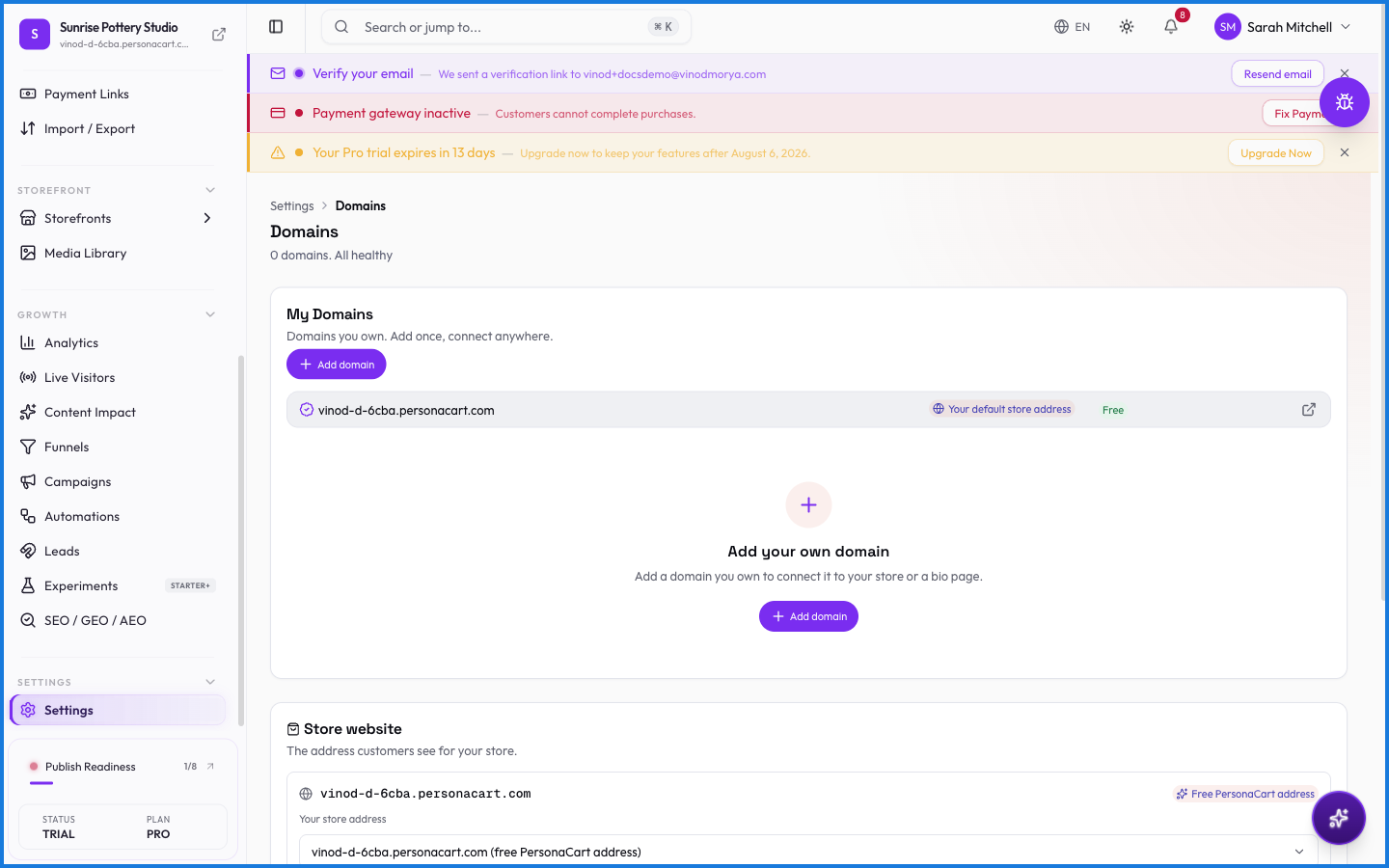 The Domains settings page for connecting a custom domain with DNS verification and SSL status