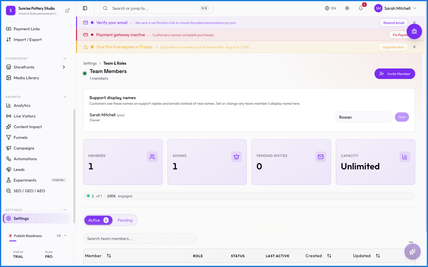 The Team and Roles page listing members with their roles and an invite control